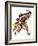 "Rosie to the Rescue", September 4,1943-Norman Rockwell-Framed Giclee Print