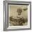 Rosie-Lewis Wickes Hine-Framed Photographic Print