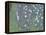 Rosiers sous les arbres-Gustav Klimt-Framed Premier Image Canvas