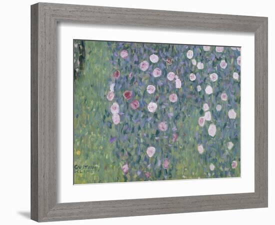 Rosiers sous les arbres-Gustav Klimt-Framed Giclee Print