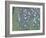 Rosiers sous les arbres-Gustav Klimt-Framed Giclee Print