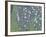 Rosiers sous les arbres-Gustav Klimt-Framed Giclee Print