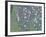 Rosiers sous les arbres-Gustav Klimt-Framed Giclee Print