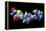 Rosiglitazone Diabetes Drug Molecule-Dr. Mark J.-Framed Premier Image Canvas