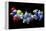 Rosiglitazone Diabetes Drug Molecule-Dr. Mark J.-Framed Premier Image Canvas