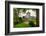 Ross Castle near Killarney, Co. Kerry Ireland-Patryk Kosmider-Framed Photographic Print