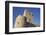 Ross Castle, on the shore of Lough Leane, Killarney National Park, Killarney, County Kerry, Munster-Nigel Hicks-Framed Photographic Print