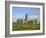 Ross Errilly Franciscan Friary, Near Headford, County Galway, Connacht, Republic of Ireland-Gary Cook-Framed Photographic Print