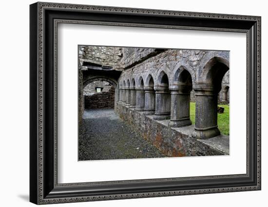 Ross Errily Friary. Located in County Clare, Ireland. Shown here are the cloisters.-Betty Sederquist-Framed Photographic Print