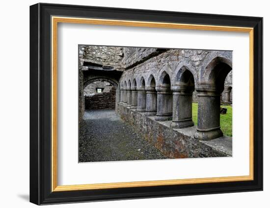 Ross Errily Friary. Located in County Clare, Ireland. Shown here are the cloisters.-Betty Sederquist-Framed Photographic Print