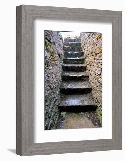 Ross Errily Friary. Located in County Clare, Ireland.-Betty Sederquist-Framed Photographic Print