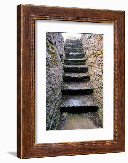 Ross Errily Friary. Located in County Clare, Ireland.-Betty Sederquist-Framed Photographic Print