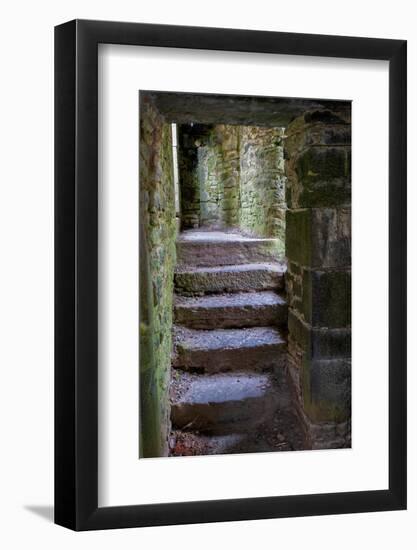 Ross Errily Friary. Located in County Clare, Ireland.-Betty Sederquist-Framed Photographic Print