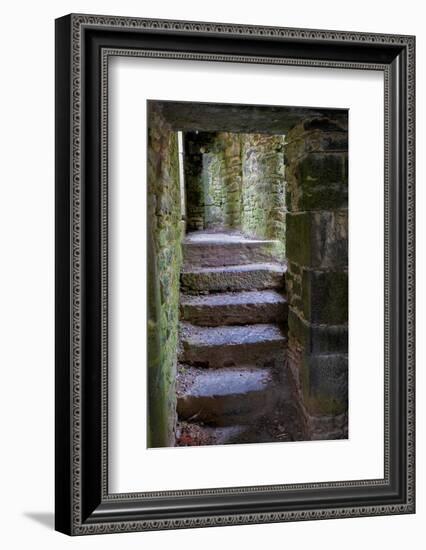 Ross Errily Friary. Located in County Clare, Ireland.-Betty Sederquist-Framed Photographic Print