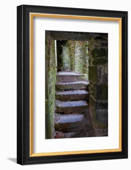 Ross Errily Friary. Located in County Clare, Ireland.-Betty Sederquist-Framed Photographic Print