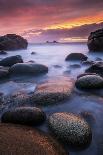 Bedruthan Steps on Cornish Coast, with Flowering Thrift, Cornwall, UK-Ross Hoddinott-Photographic Print