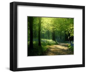 Nature Picture Library framed-art-prints Art: Prints, Paintings, Posters &  Framed Wall Artwork for Sale | Art.com
