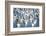 Ross's and Snow Geese in Freshwater Pond, Bosque Del Apache Nwr, New Mexico-Maresa Pryor-Framed Photographic Print