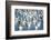 Ross's and Snow Geese in Freshwater Pond, Bosque Del Apache Nwr, New Mexico-Maresa Pryor-Framed Photographic Print