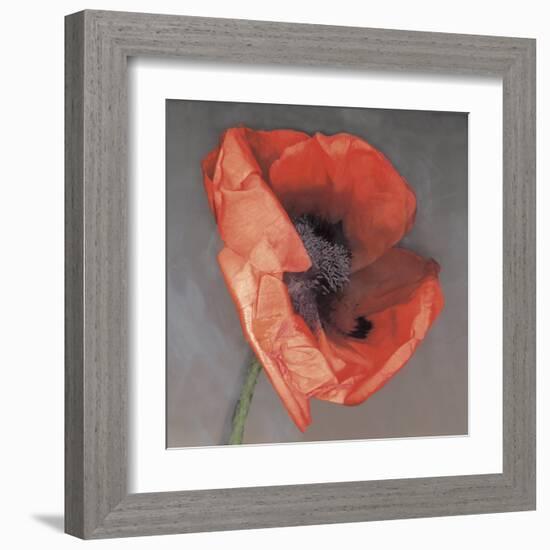 Rossa-Erin Clark-Framed Art Print