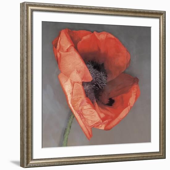 Rossa-Erin Clark-Framed Giclee Print