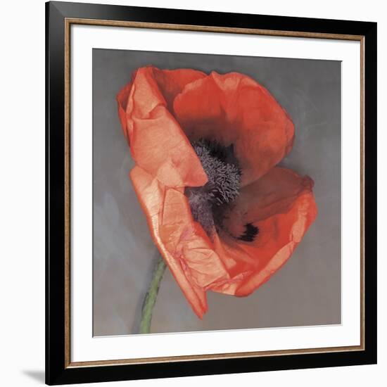 Rossa-Erin Clark-Framed Giclee Print