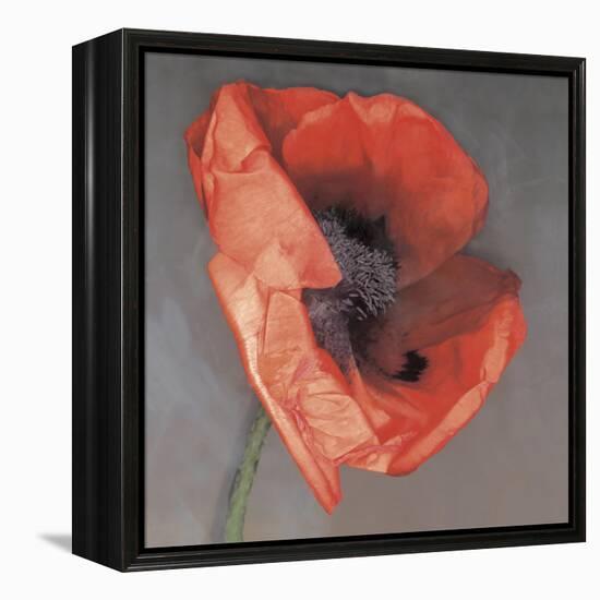 Rossa-Erin Clark-Framed Premier Image Canvas