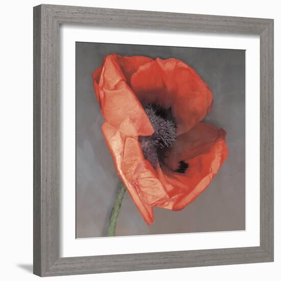 Rossa-Erin Clark-Framed Photographic Print