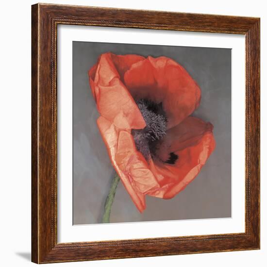 Rossa-Erin Clark-Framed Photographic Print