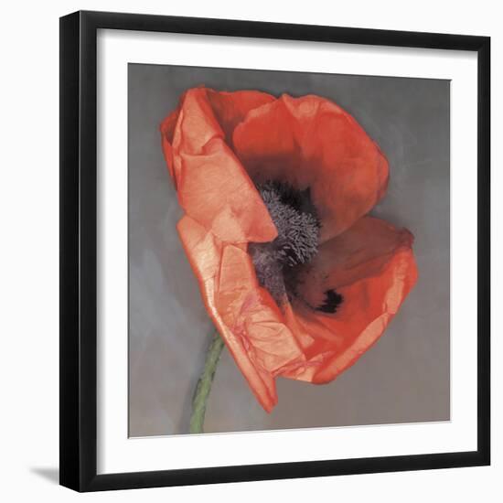 Rossa-Erin Clark-Framed Photographic Print