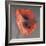 Rossa-Erin Clark-Framed Photographic Print