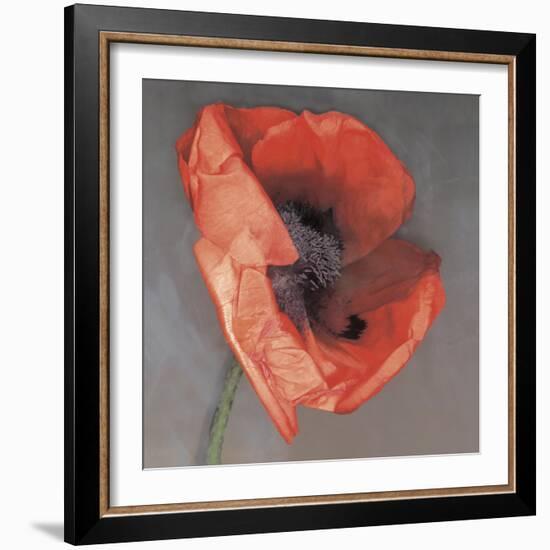 Rossa-Erin Clark-Framed Photographic Print