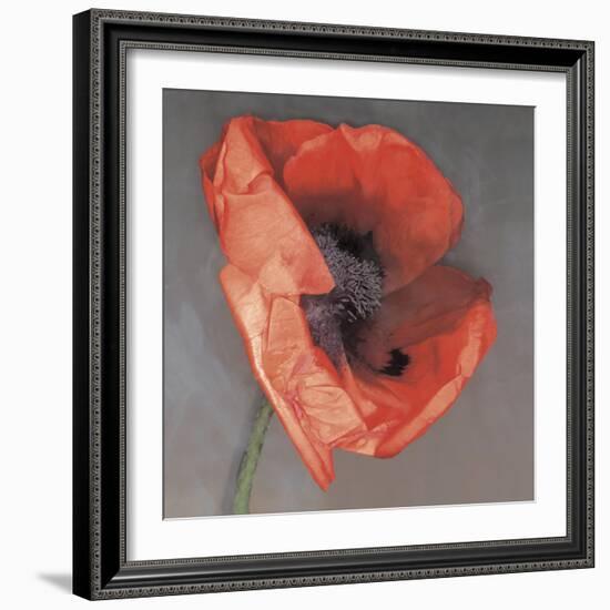 Rossa-Erin Clark-Framed Photographic Print