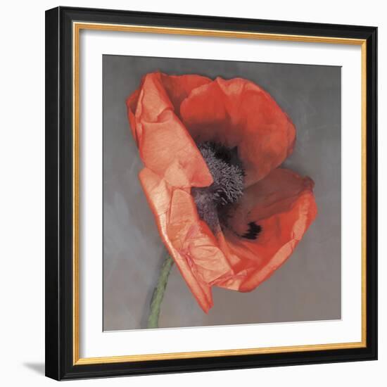 Rossa-Erin Clark-Framed Photographic Print