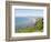 Rossbeigh, Ring of Kerry, County Kerry, Munster, Republic of Ireland, Europe-null-Framed Photographic Print