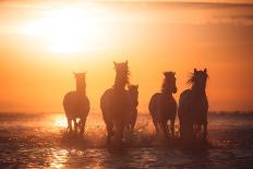 Angels Of Camargue-Rostovskiy Anton-Stretched Canvas