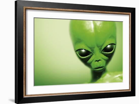 Roswell Alien-Detlev Van Ravenswaay-Framed Photographic Print