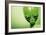 Roswell Alien-Detlev Van Ravenswaay-Framed Photographic Print