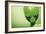 Roswell Alien-Detlev Van Ravenswaay-Framed Photographic Print