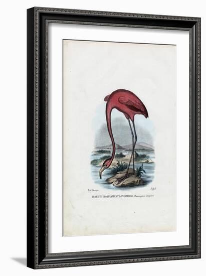 Rosy, 1863-79-Raimundo Petraroja-Framed Giclee Print
