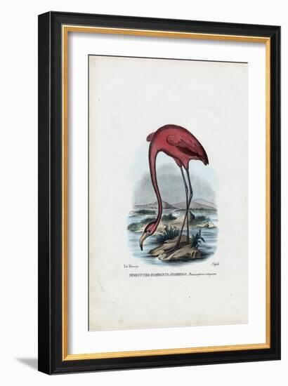 Rosy, 1863-79-Raimundo Petraroja-Framed Giclee Print