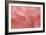 Rosy Begonia II-Rita Crane-Framed Photographic Print