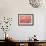 Rosy Begonia II-Rita Crane-Framed Photographic Print displayed on a wall