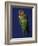 Rosy Faced Lovebirds-Art Wolfe-Framed Photographic Print