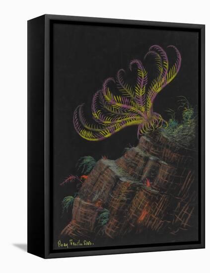 Rosy Feather Star-Philip Henry Gosse-Framed Premier Image Canvas