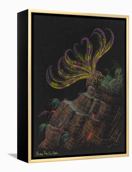 Rosy Feather Star-Philip Henry Gosse-Framed Premier Image Canvas