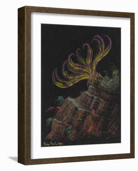 Rosy Feather Star-Philip Henry Gosse-Framed Giclee Print