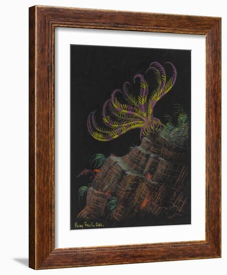 Rosy Feather Star-Philip Henry Gosse-Framed Giclee Print