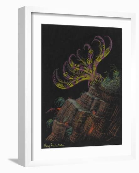 Rosy Feather Star-Philip Henry Gosse-Framed Giclee Print