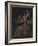 Rosy Feather Star-Philip Henry Gosse-Framed Giclee Print